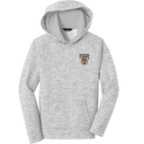 Princeton Jr. Tigers Youth PosiCharge Electric Heather Fleece Hooded Pullover